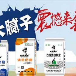 腻子适用范围